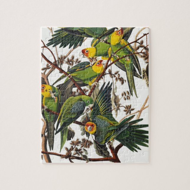 Carolina papegoja - John James Audubon (1827-1838) Pussel (Vertikal)