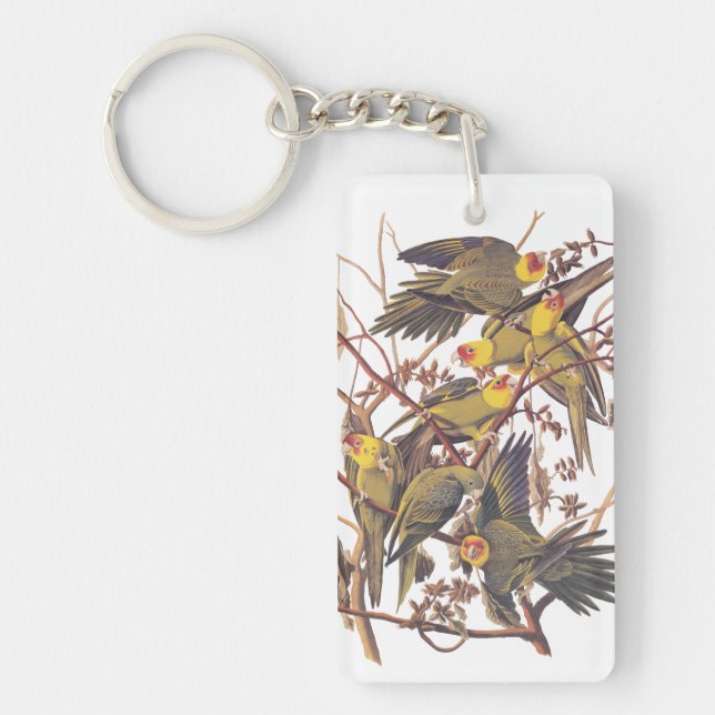 Carolina Parakeet Acrylic Keychain Nyckelring (Framsidan)
