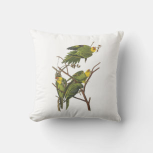 Carolina Parakeet från Audubon Kudde