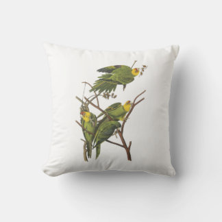 Carolina Parakeet från Audubon Kudde