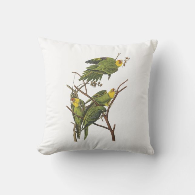 Carolina Parakeet från Audubon Kudde (Framsida)