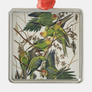 Carolina Parakeet, från "Birds of America", 1829 Julgransprydnad Metall
