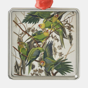 Carolina Parakeet, från "Birds of America", 1829 Julgransprydnad Metall