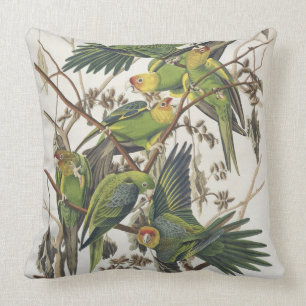 Carolina Parakeet, från "Birds of America", 1829 Kudde