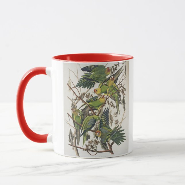Carolina Parakeet, från "Birds of America", 1829 Mugg (Vänster)