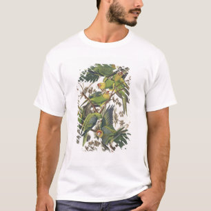 Carolina Parakeet, från "Birds of America", 1829 Tee
