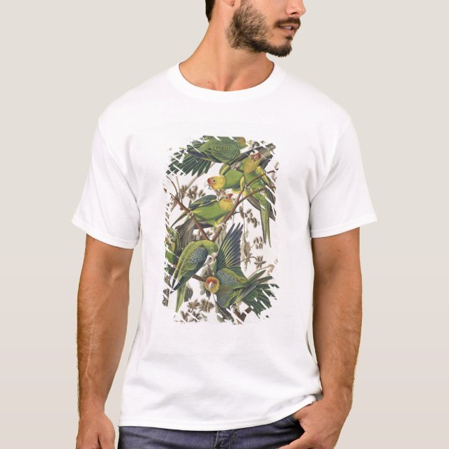 Carolina Parakeet, från "Birds of America", 1829 Tee (Framsida)