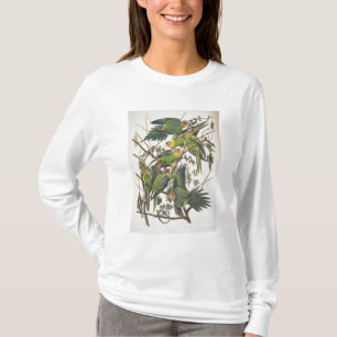 Carolina Parakeet, från "Birds of America", 1829 Tröja