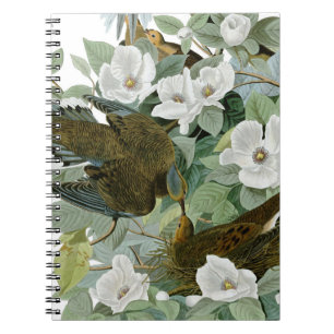 Carolina Pigeon Audubon MorgDove Anteckningsbok Med Spiral