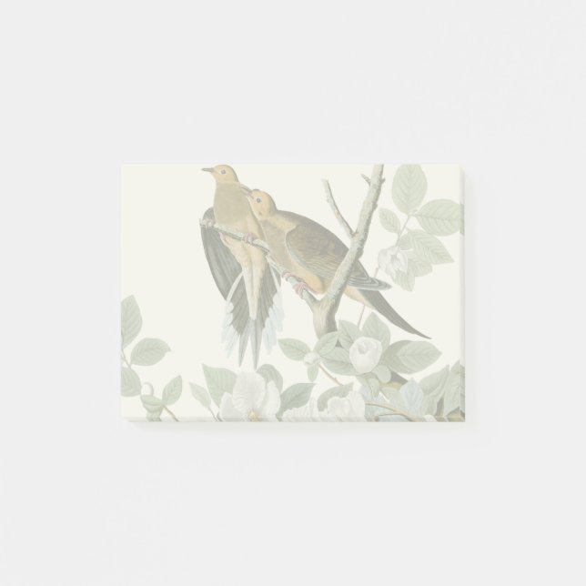 Carolina Pigeon Audubon MorgDove Post-it Block (Framsida)
