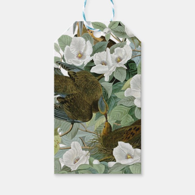 Carolina Pigeon Audubon MorgDove Presentetikett (Framsidan)