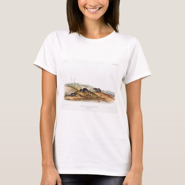 Carolina Shrew House Mouse Girl Boy Room T Shirt (Framsida)
