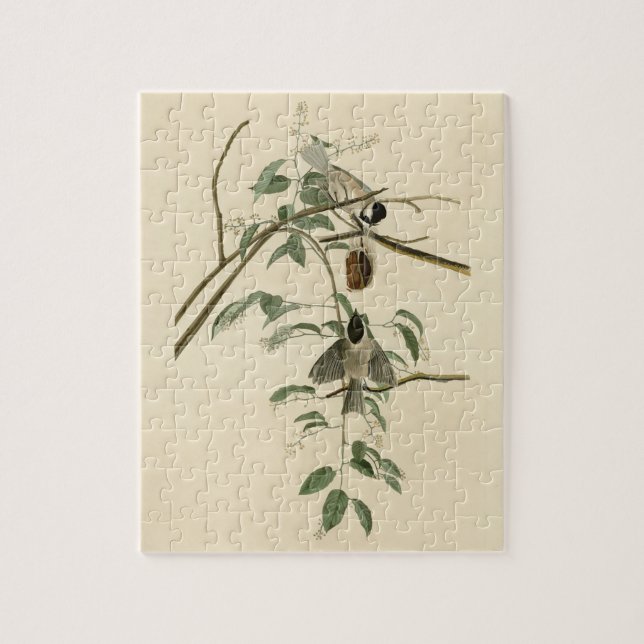Carolina Titmus från Audubon's Birds of America Pussel (Vertikal)