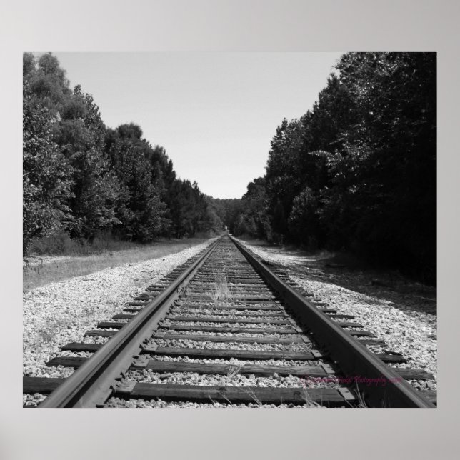 Carolina Tracks Poster (Framsidan)