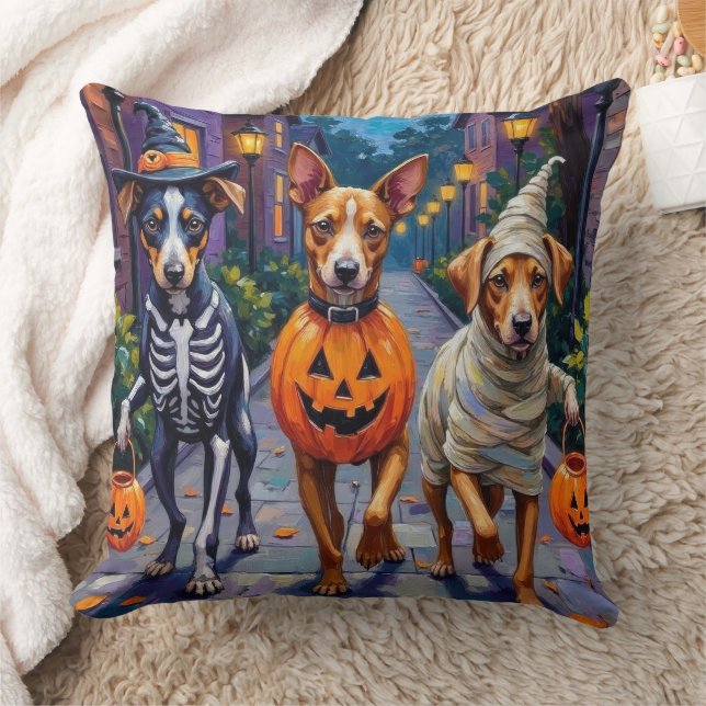Carolina trick-or-treat i Halloween-kostym Kudde (Filt)