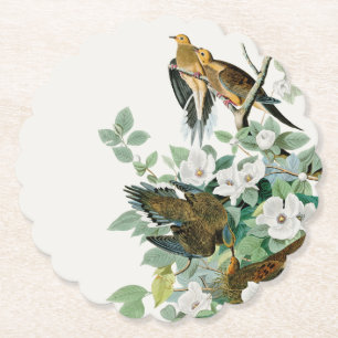 Carolina Turtle Dove, amerikanska fåglar av John  Underlägg Papper