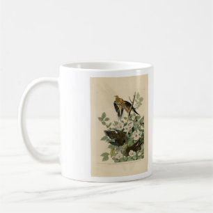 Carolina Turtle Dove Mourning Dove Audubon's Birds Kaffemugg