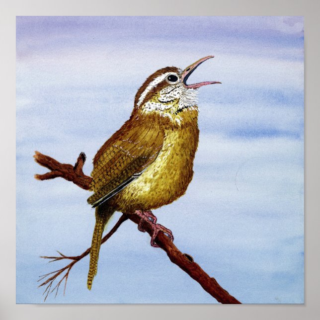 Carolina Wren Art Poster (Framsidan)