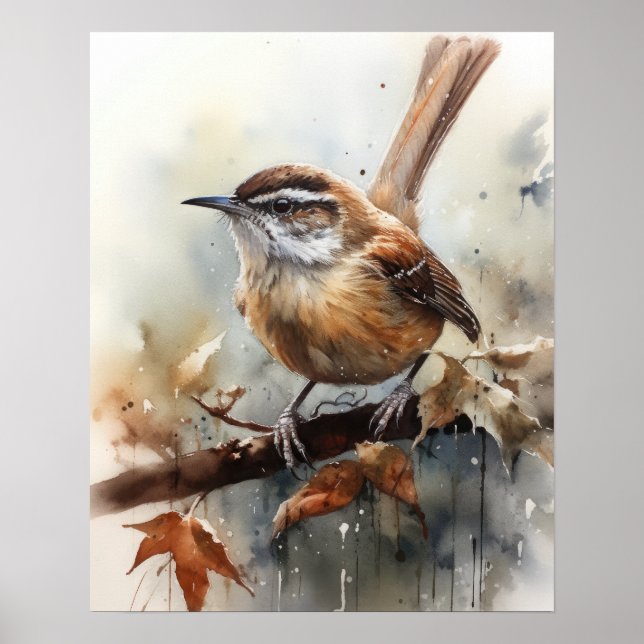 Carolina Wren Bird Art Print Poster (Framsidan)