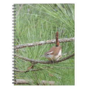 Carolina Wren i Gräs Träd Anteckningsbok