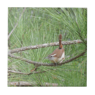 Carolina Wren i Gräs Träd Kakelplatta