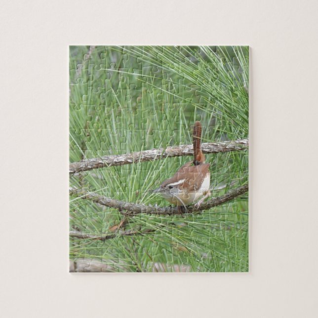 Carolina Wren i Gräs Träd Pussel (Vertikal)