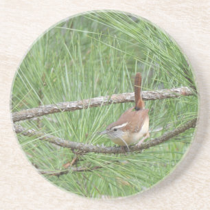 Carolina Wren i Gräs Träd Underlägg Sandsten
