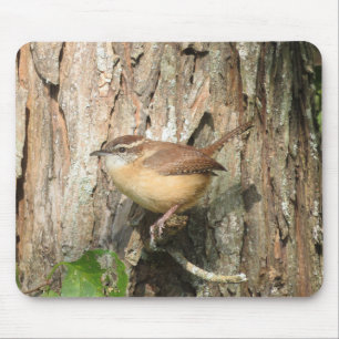 Carolina Wren Mouse Pad Musmatta