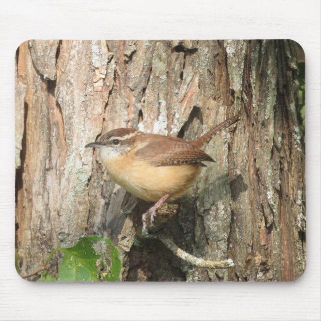 Carolina Wren Mouse Pad Musmatta (Framsidan)