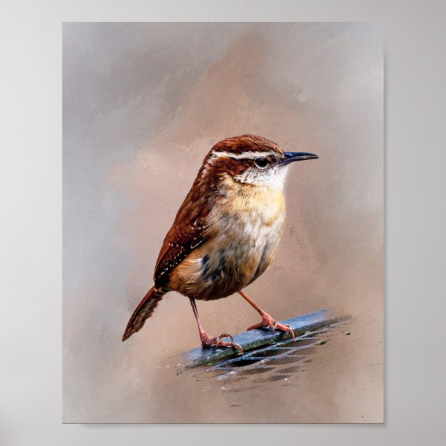 Carolina Wren Poster (Framsidan)