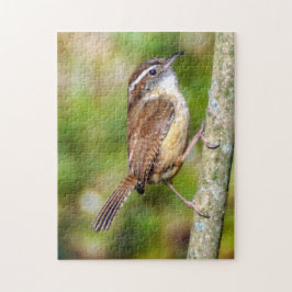 Carolina Wren Puzzle Pussel