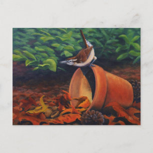Carolina Wren Vykort