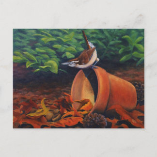 Carolina Wren Vykort
