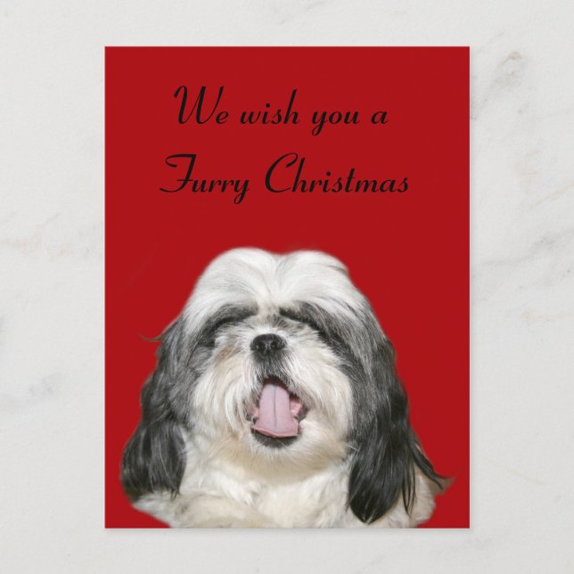 Caroling jul Shih Tzu Helg Vykort (Framsida)
