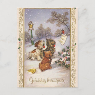 Caroling Valps Vykort