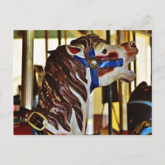 Carousels Horses Rides Amusement Parker Vykort (Framsida)