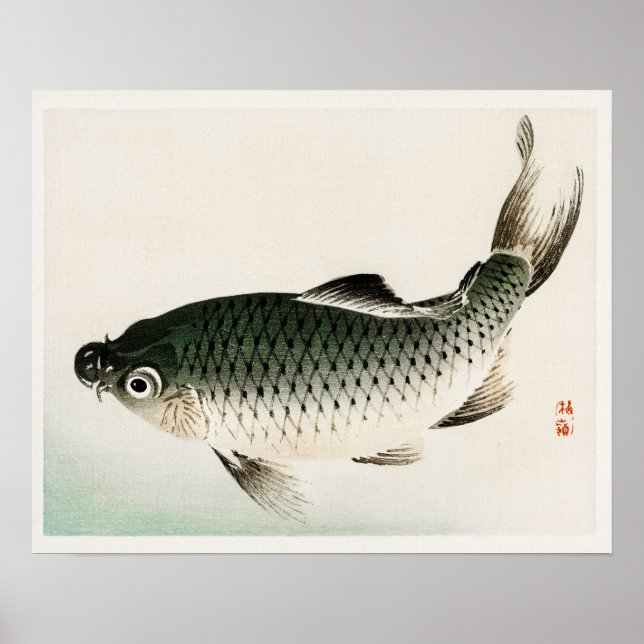 Carp by Kōno Bairei (1844-1895) Poster (Framsidan)