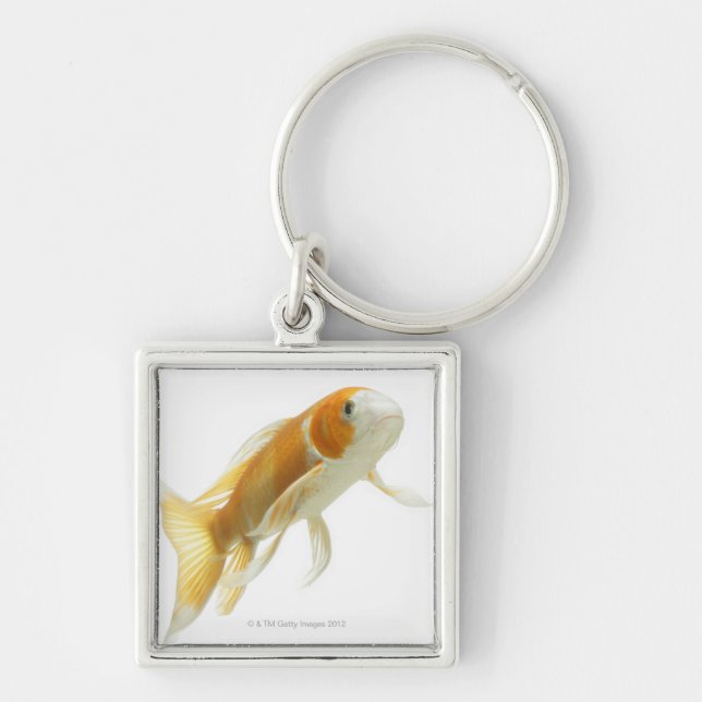 Carp (Cyprinus carpio) Fyrkantig Silverfärgad Nyckelring (Framsidan)