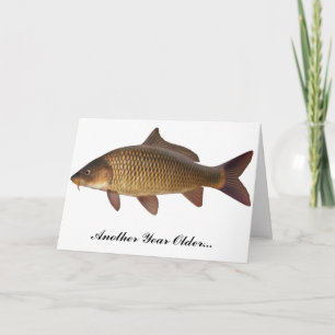 Carp Fishing Birthday Card Kort