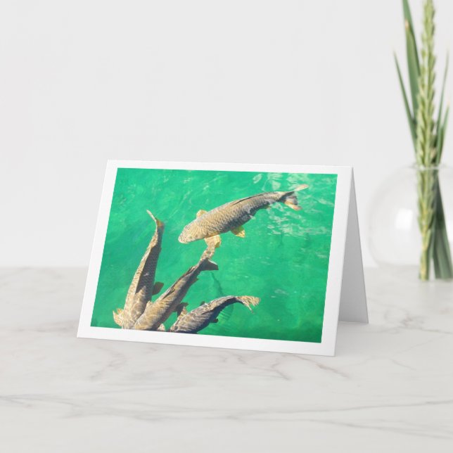 Carp Kort (Framsida)