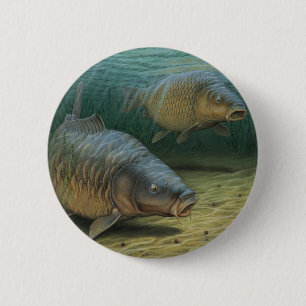 Carp som fiskar Carp två Knapp