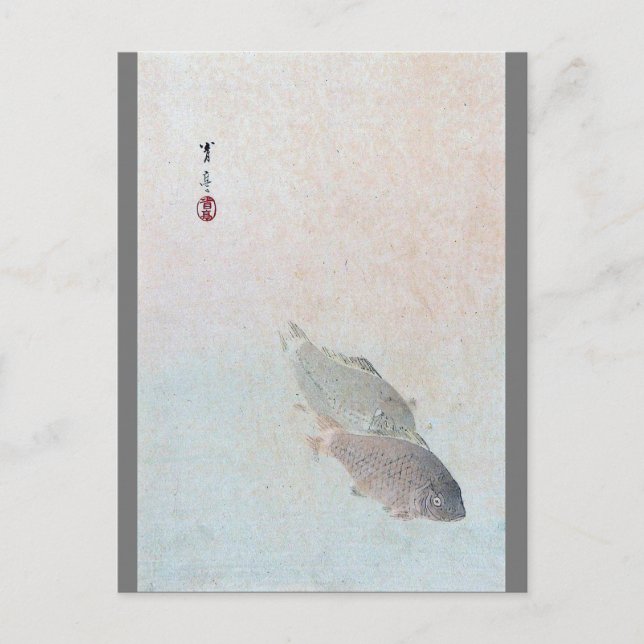 Carp, Watanabe Seitei Vykort (Framsida)