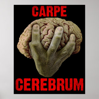 "CARPE CEREBRUM" poster