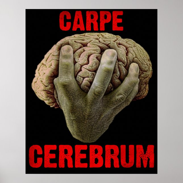 "CARPE CEREBRUM" poster (Framsidan)