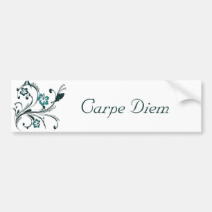 Carpe Diem Bildekal