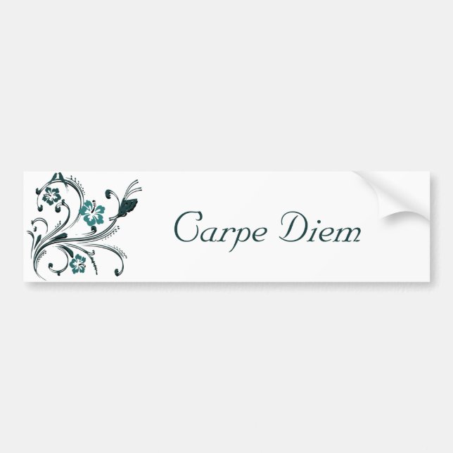 Carpe Diem Bildekal (Framsidan)