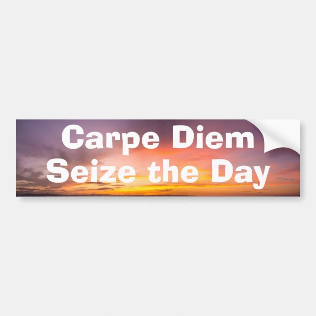 Carpe Diem Bildekal (Framsidan)