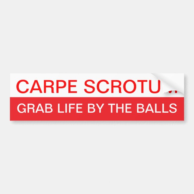 Carpe Diem? Bildekal (Framsidan)