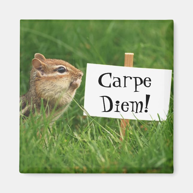 Carpe Diem Chipmunk Magnet (Framsidan)
