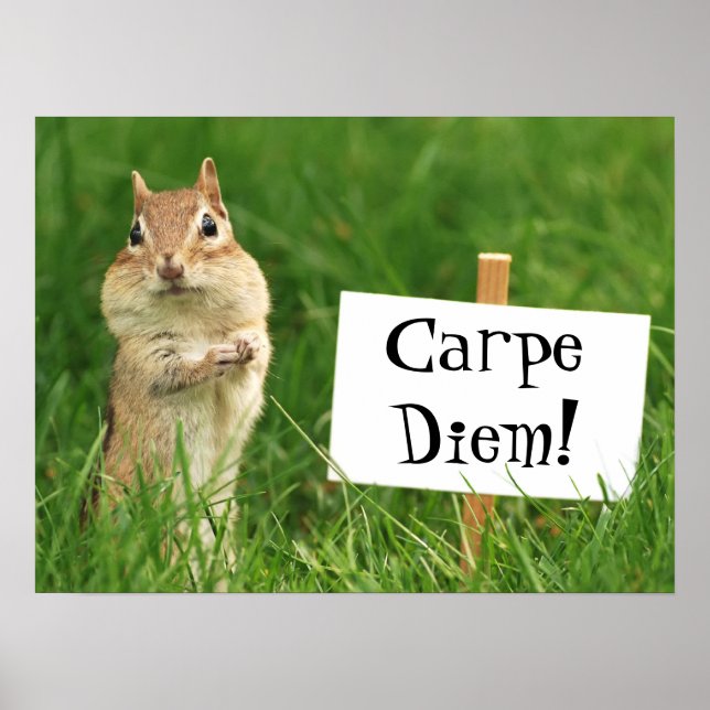 Carpe Diem Chipmunk med Poster tecken (Framsidan)